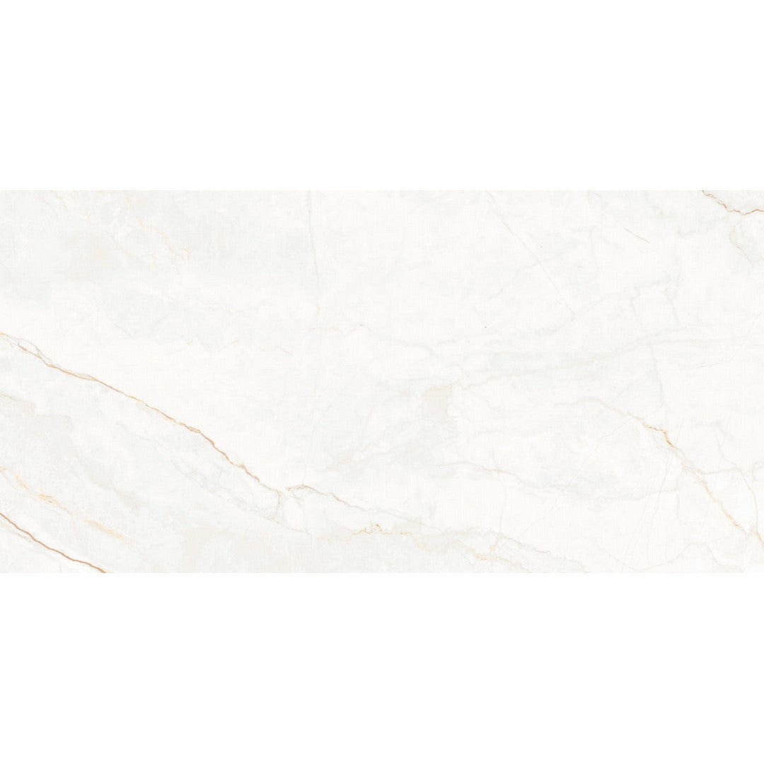 Happy Floors 12" x 24" Statik Rectified Natural Porcelain Tile