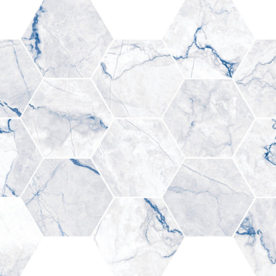 Happy Floors 10" x 14" Statik Polished Porcelain Hexagon Mosaic