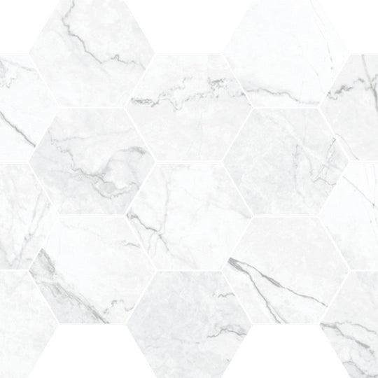 Happy Floors 10" x 14" Statik Polished Porcelain Hexagon Mosaic