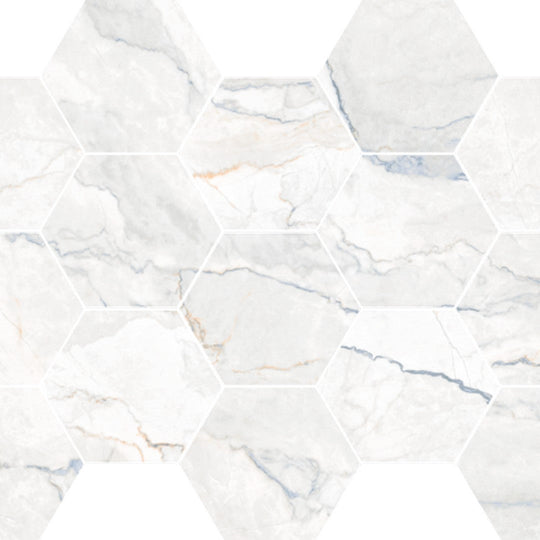 Happy Floors 10" x 14" Statik Polished Porcelain Hexagon Mosaic