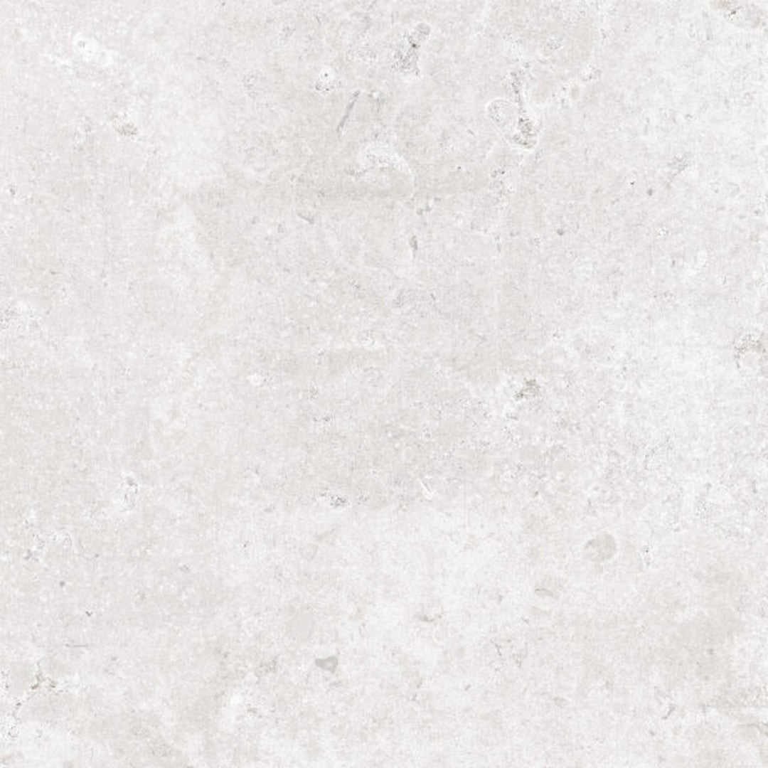 Happy Floors 24" x 24" Timeless Rectified Natural Porcelain Tile