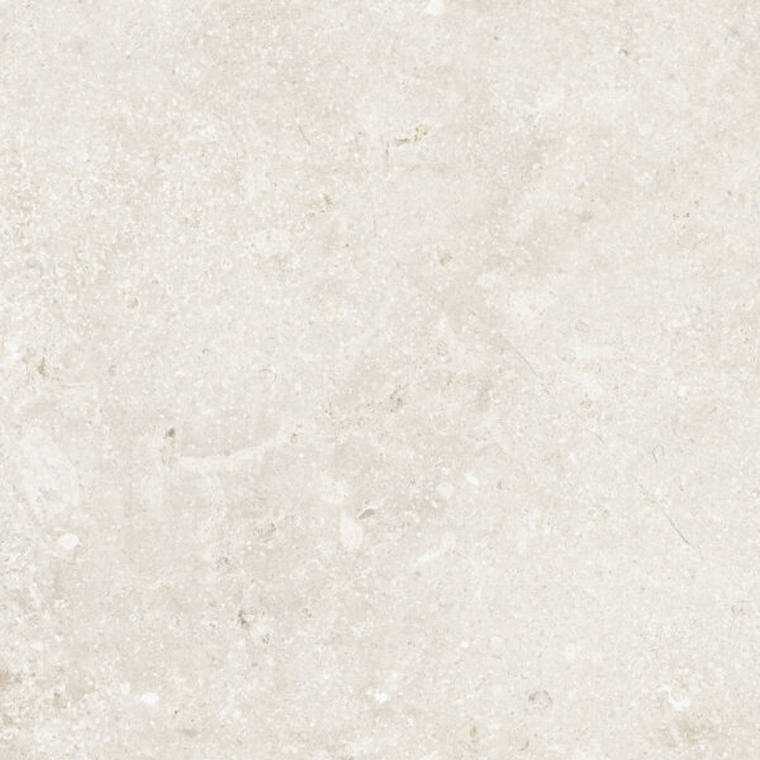 Happy Floors 24" x 24" Timeless Rectified Natural Porcelain Tile