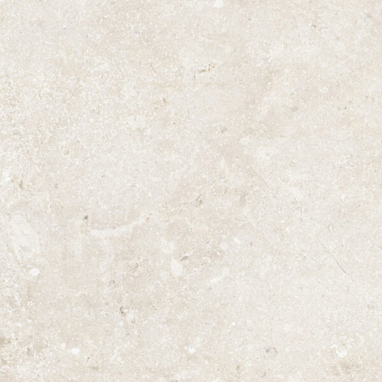 Happy Floors 24" x 24" Timeless Rectified Natural Porcelain Tile