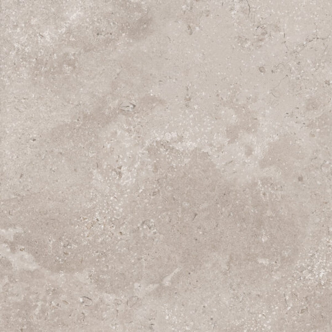 Happy Floors 24" x 24" Timeless Rectified Natural Porcelain Tile