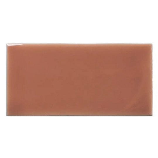 WOW 2.5" x 5" Fayenza Glossy Ceramic Tile