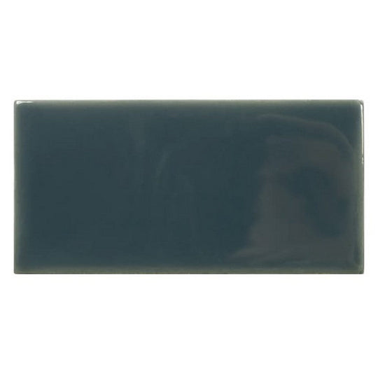 WOW 2.5" x 5" Fayenza Glossy Ceramic Tile