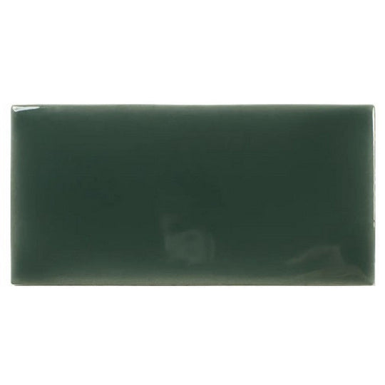 WOW 2.5" x 5" Fayenza Glossy Ceramic Tile