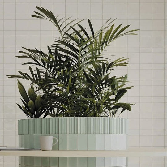 WOW-2.5-x-5-Fayenza-Belt-Glossy-Ceramic-Tile-Fern