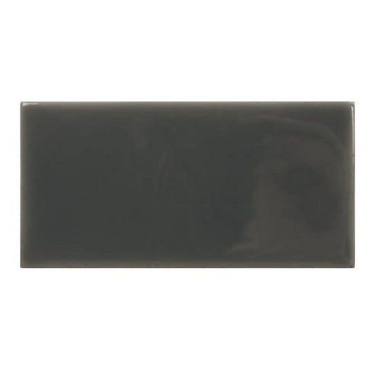 WOW 2.5" x 5" Fayenza Glossy Ceramic Tile