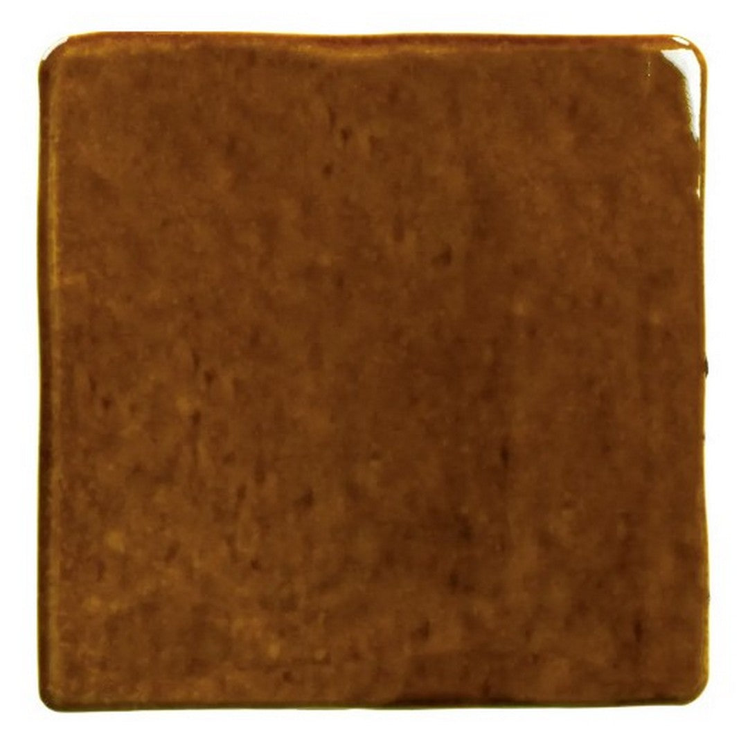 WOW 4.3" x 4.3" Roots S Glossy Porcelain Tile