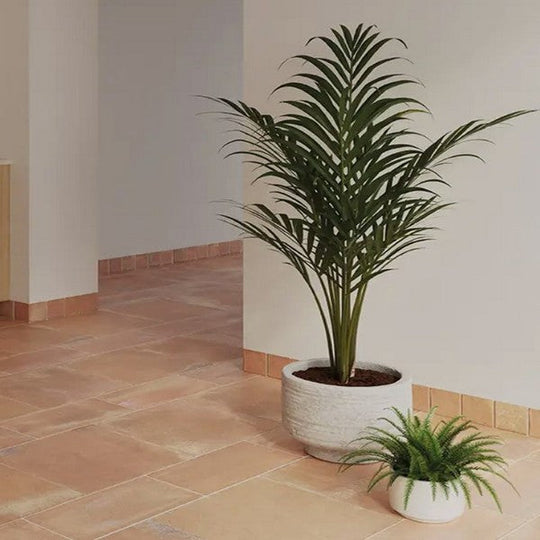 WOW-8.6-x-17.2-Roots-XL-Matte-Porcelain-Tile-Cotto