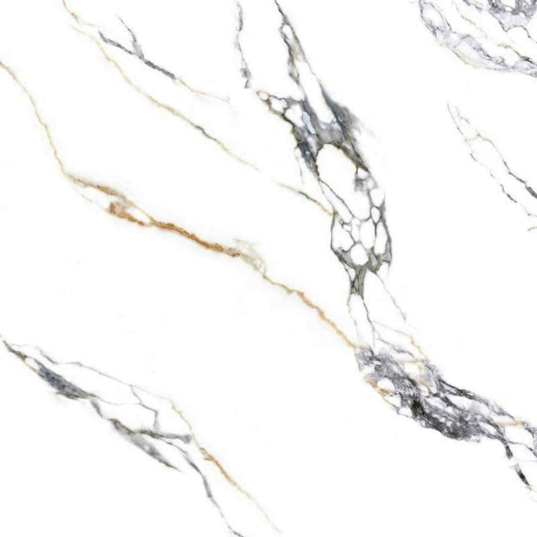 Alfagres 32" x 32" Superior Rectified Polished Porcelain Tile