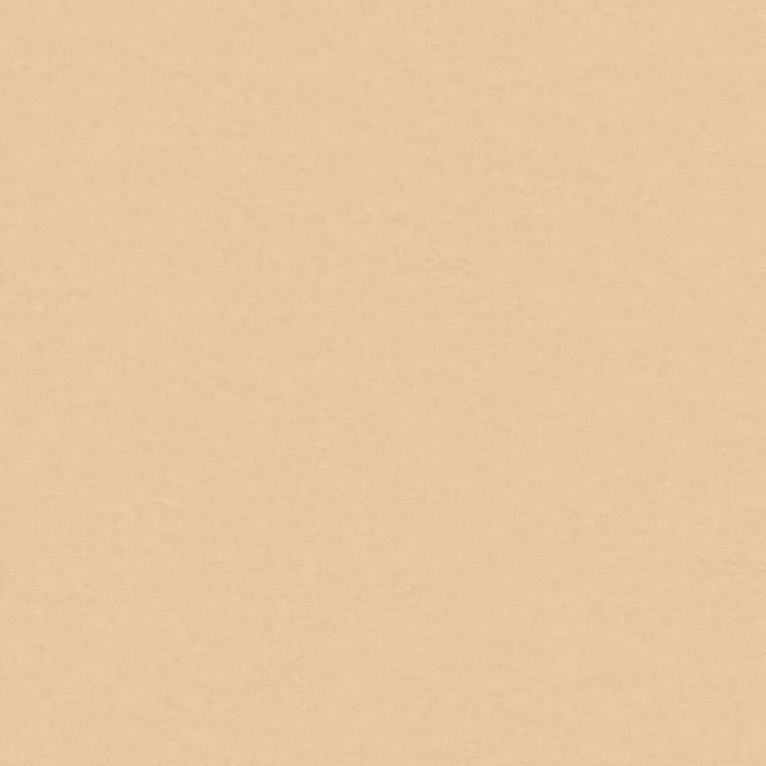 Tarkett 6'6" x RL LinoFloor xf2 Originale Linoleum Sheet