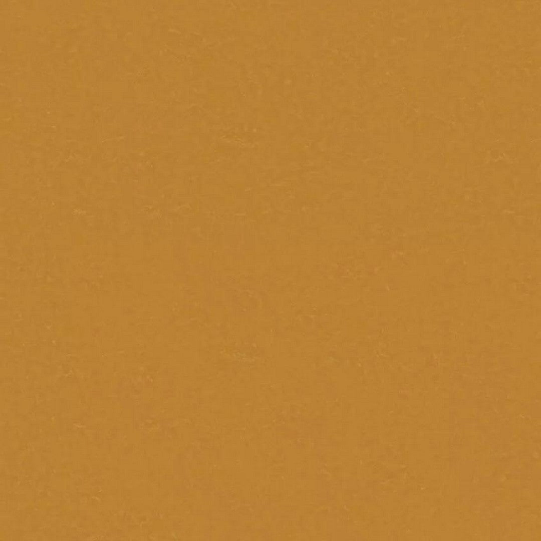 Tarkett 6'6" x RL LinoFloor xf2 Originale Linoleum Sheet