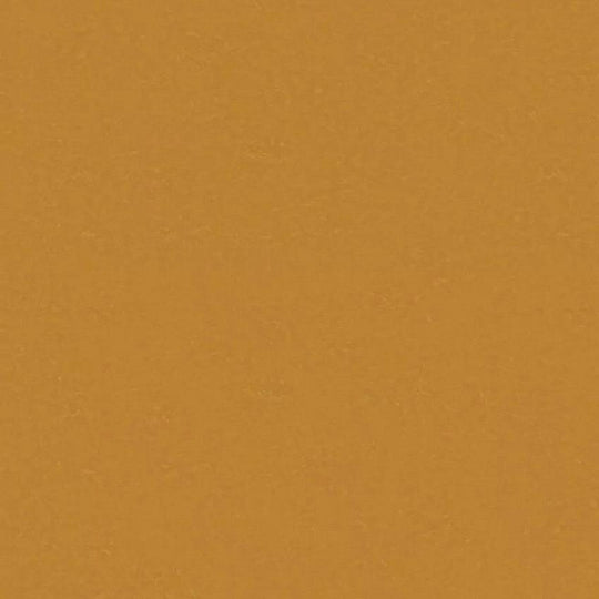 Tarkett 6'6" x RL LinoFloor xf2 Originale Linoleum Sheet