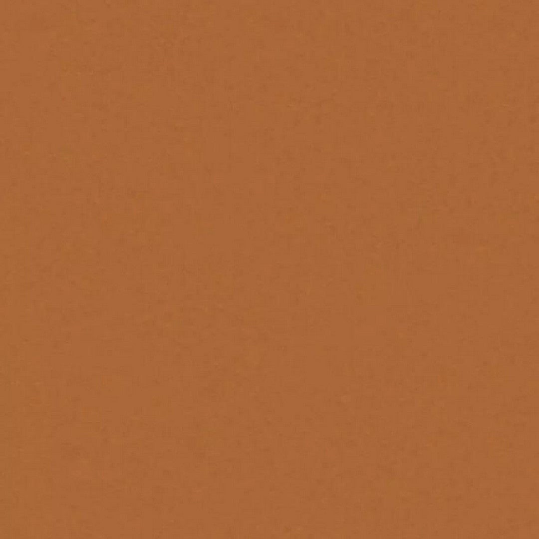 Tarkett 6'6" x RL LinoFloor xf2 Originale Linoleum Sheet