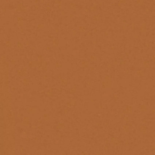 Tarkett 6'6" x RL LinoFloor xf2 Originale Linoleum Sheet