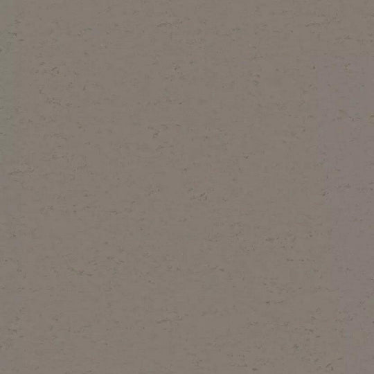 Tarkett 6'6" x RL LinoFloor xf2 Originale Linoleum Sheet