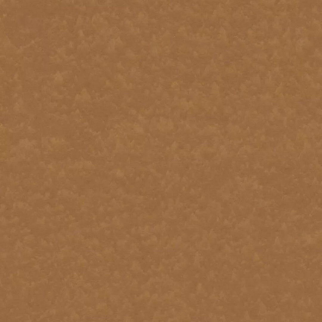 Tarkett 6'6" x RL LinoFloor xf2 Veneto Linoleum Sheet