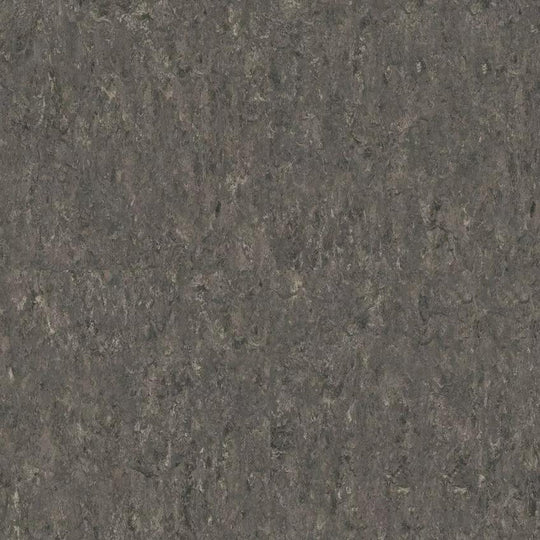 Tarkett 6'6" x RL LinoFloor xf2 Veneto Linoleum Sheet