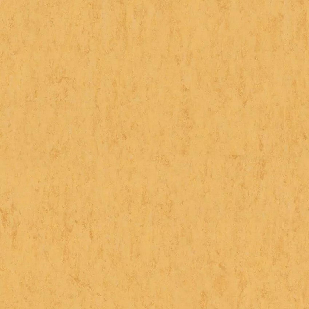 Tarkett 6'6" x RL LinoFloor xf2 Veneto Linoleum Sheet