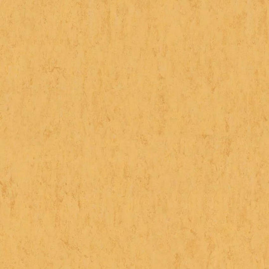 Tarkett 6'6" x RL LinoFloor xf2 Veneto Linoleum Sheet