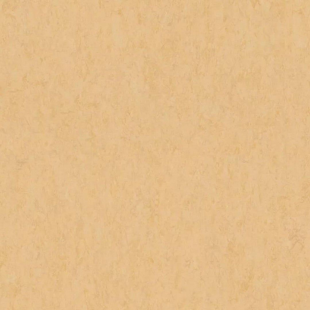 Tarkett 6'6" x RL LinoFloor xf2 Veneto Linoleum Sheet