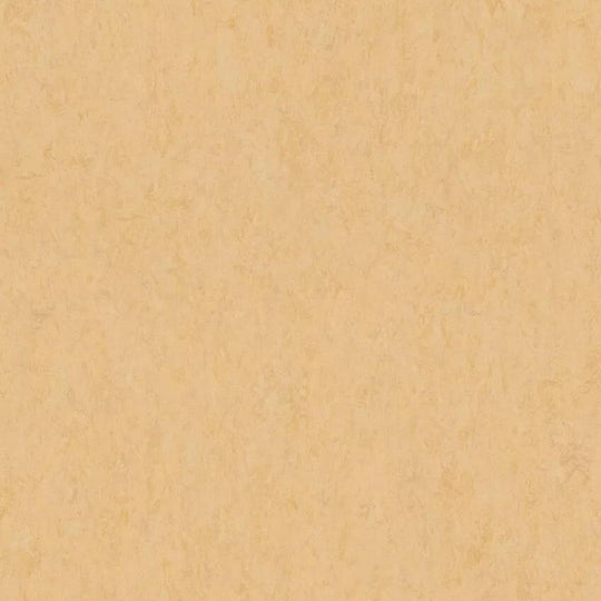 Tarkett 6'6" x RL LinoFloor xf2 Veneto Linoleum Sheet