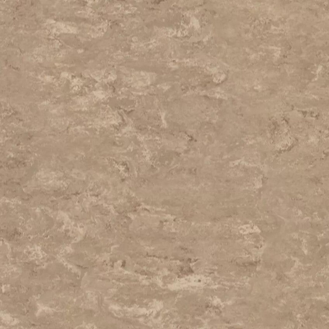 Tarkett 6'6" x RL LinoFloor xf2 Veneto Linoleum Sheet
