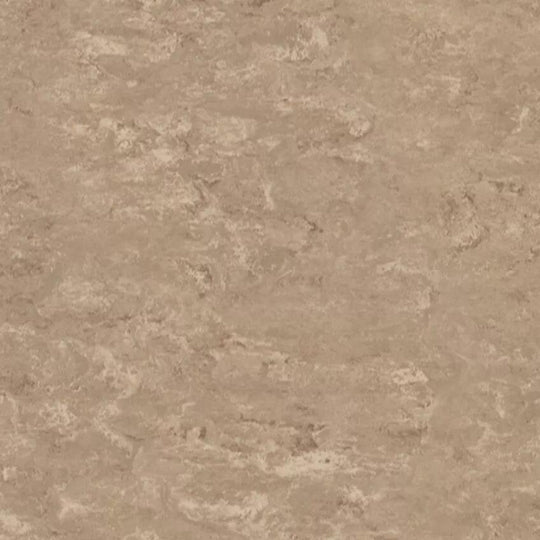 Tarkett 6'6" x RL LinoFloor xf2 Veneto Linoleum Sheet