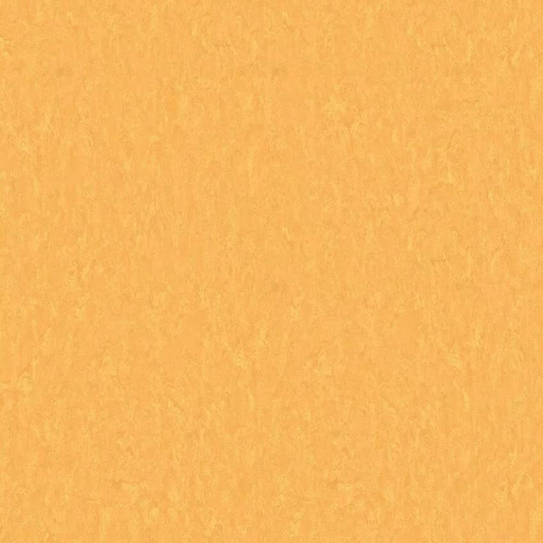 Tarkett 6'6" x RL LinoFloor xf2 Veneto Linoleum Sheet