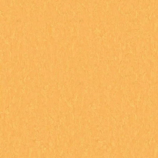 Tarkett 6'6" x RL LinoFloor xf2 Veneto Linoleum Sheet