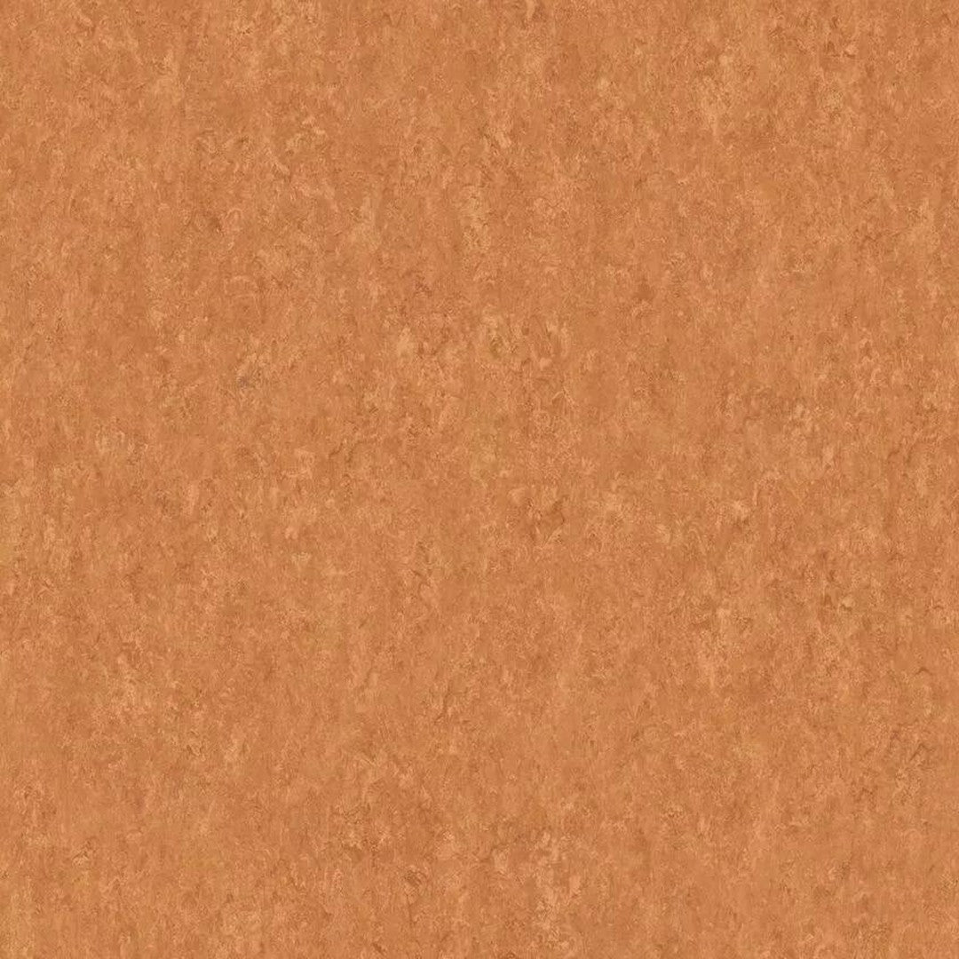 Tarkett 6'6" x RL LinoFloor xf2 Veneto Linoleum Sheet