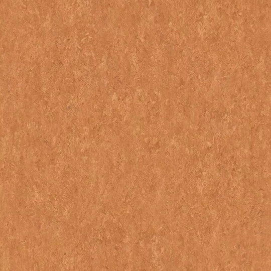 Tarkett 6'6" x RL LinoFloor xf2 Veneto Linoleum Sheet