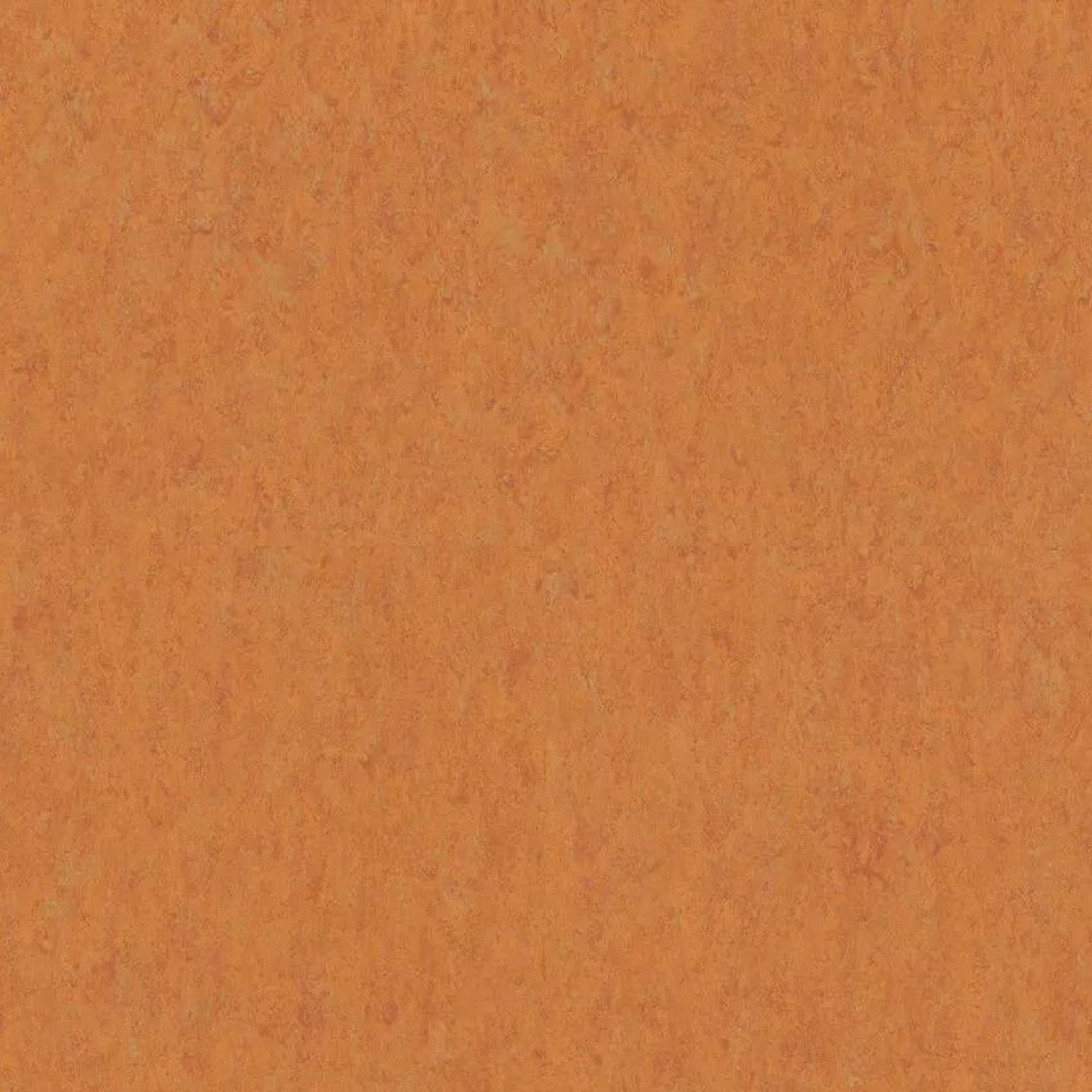 Tarkett 6'6" x RL LinoFloor xf2 Veneto Linoleum Sheet