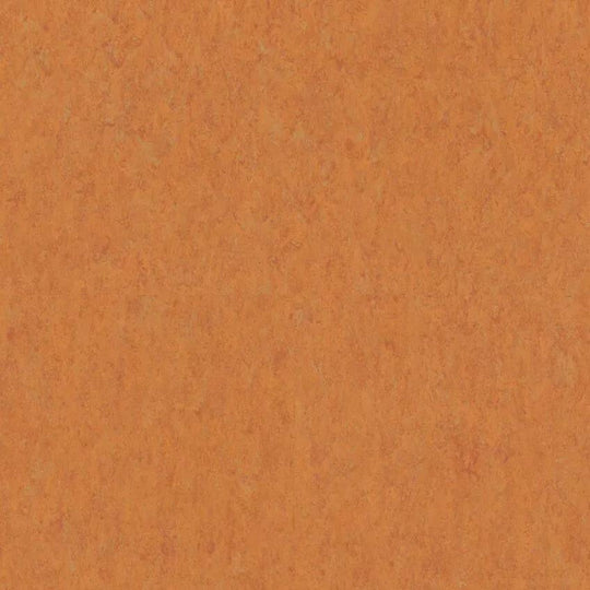 Tarkett 6'6" x RL LinoFloor xf2 Veneto Linoleum Sheet