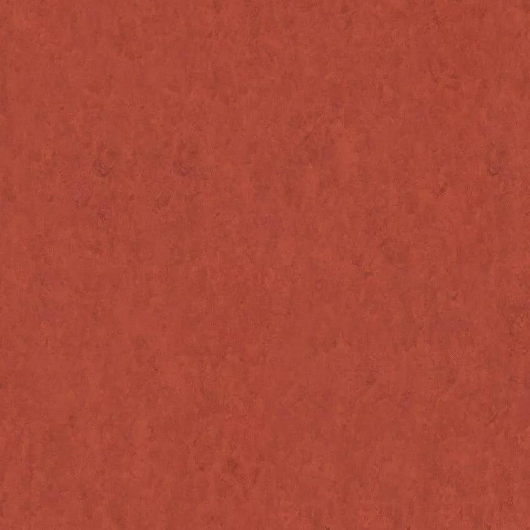 Tarkett 6'6" x RL LinoFloor xf2 Veneto Linoleum Sheet