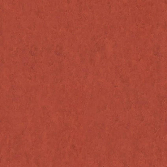 Tarkett 6'6" x RL LinoFloor xf2 Veneto Linoleum Sheet