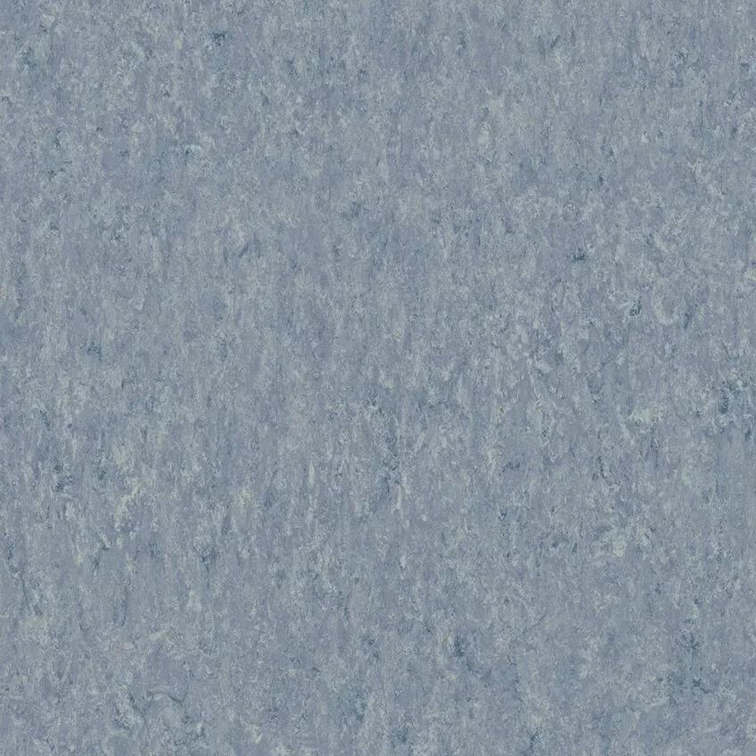Tarkett 6'6" x RL LinoFloor xf2 Veneto Linoleum Sheet