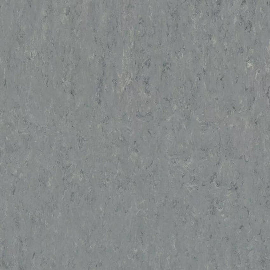 Tarkett 6'6" x RL LinoFloor xf2 Veneto Linoleum Sheet