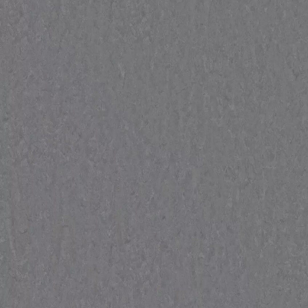 Tarkett 6'6" x RL LinoFloor xf2 Veneto Linoleum Sheet