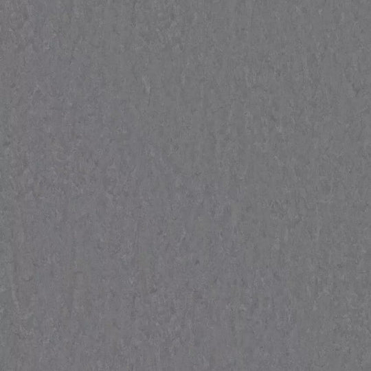 Tarkett 6'6" x RL LinoFloor xf2 Veneto Linoleum Sheet