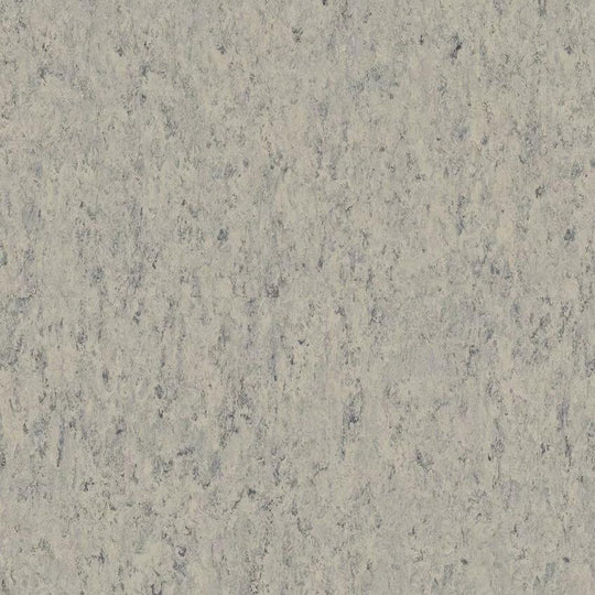Tarkett 6'6" x RL LinoFloor xf2 Veneto Linoleum Sheet