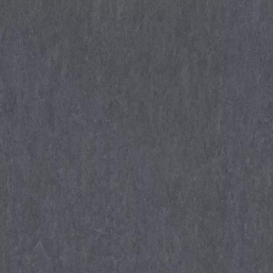 Tarkett 6'6" x RL LinoFloor xf2 Veneto Linoleum Sheet