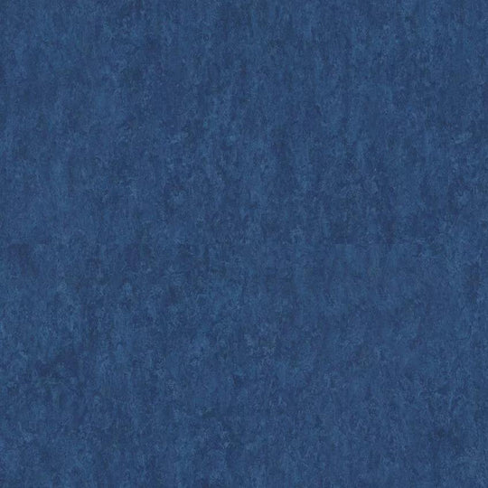 Tarkett 6'6" x RL LinoFloor xf2 Veneto Linoleum Sheet