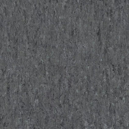 Tarkett 6'6" x RL LinoFloor xf2 Veneto Linoleum Sheet