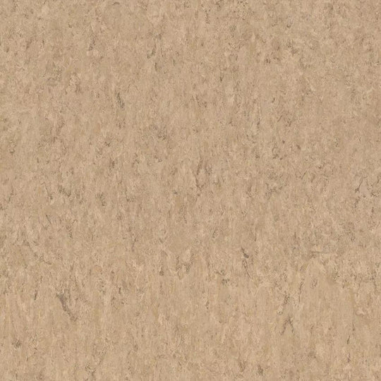 Tarkett 6'6" x RL LinoFloor xf2 Veneto Linoleum Sheet