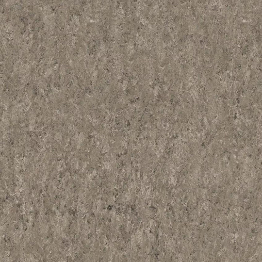 Tarkett 6'6" x RL LinoFloor xf2 Veneto Linoleum Sheet