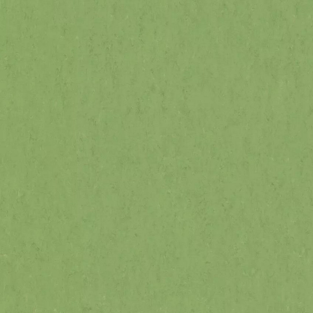 Tarkett 6'6" x RL LinoFloor xf2 Veneto Linoleum Sheet