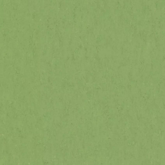 Tarkett 6'6" x RL LinoFloor xf2 Veneto Linoleum Sheet